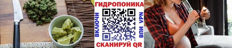 omg как зайти  Томари  Печенье с ТГК конопля 